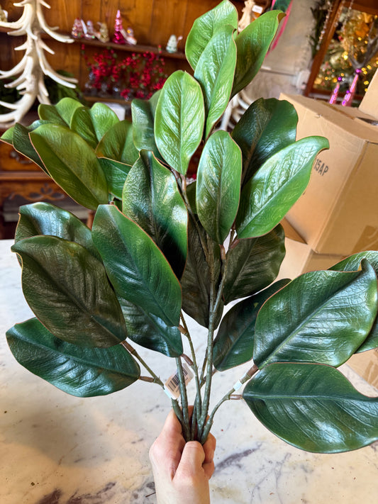 (2) 29” Magnolia Stem - 2 stems per bundle