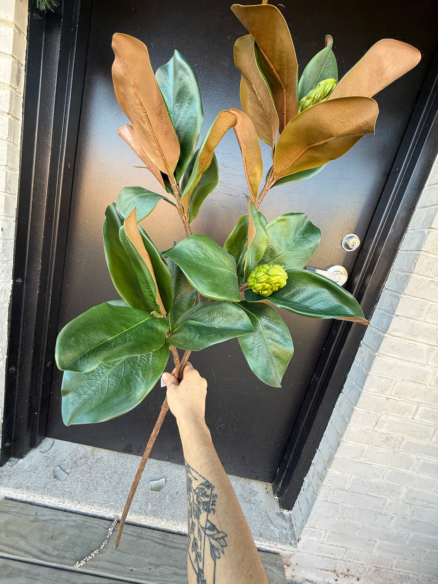 44” Magnolia Leaf Branch w buds