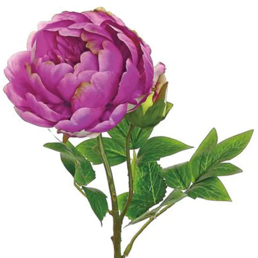 24” Fuchsia Peony Stem