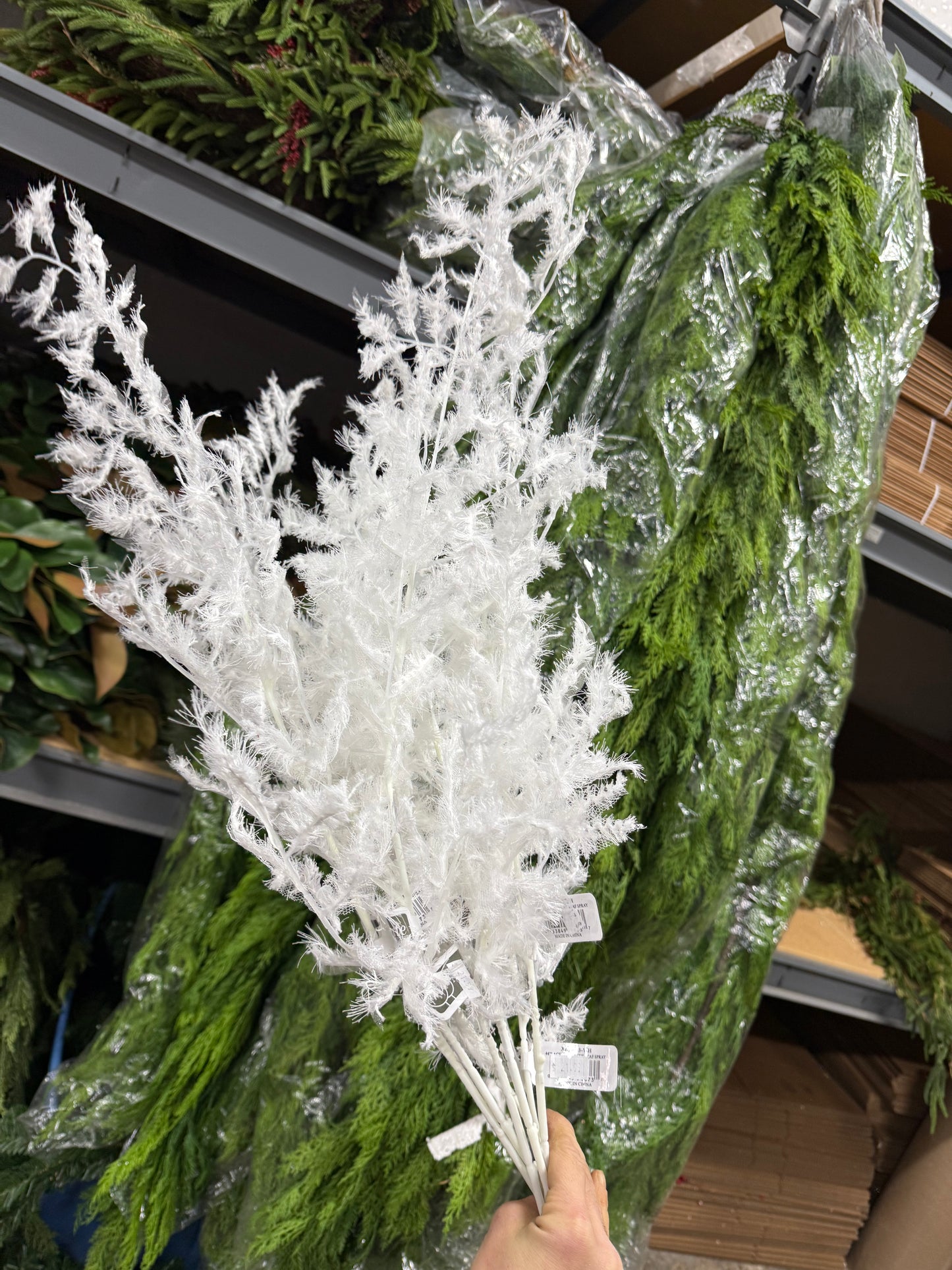 44” Lace Italian Ruscus Spray