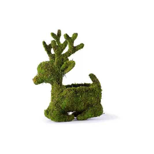 Moss Sitting Reindeer Planter