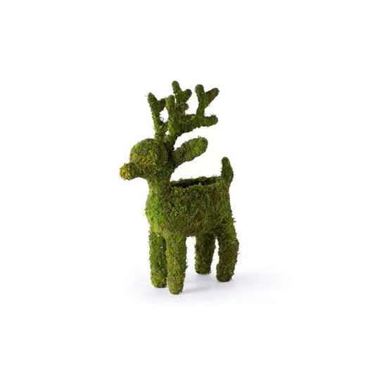 Moss Standing Reindeer Planter