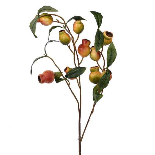 29” Pomegranate Spray