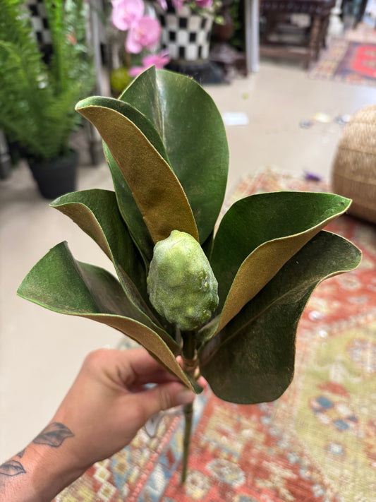 20” Magnolia Bud