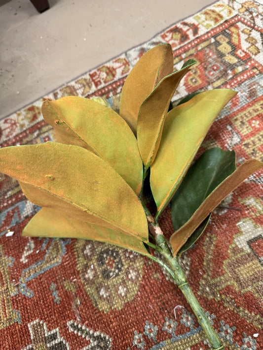 21” Magnolia Bud