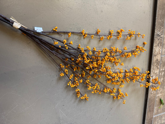 Golden Yellow Berry Bundle