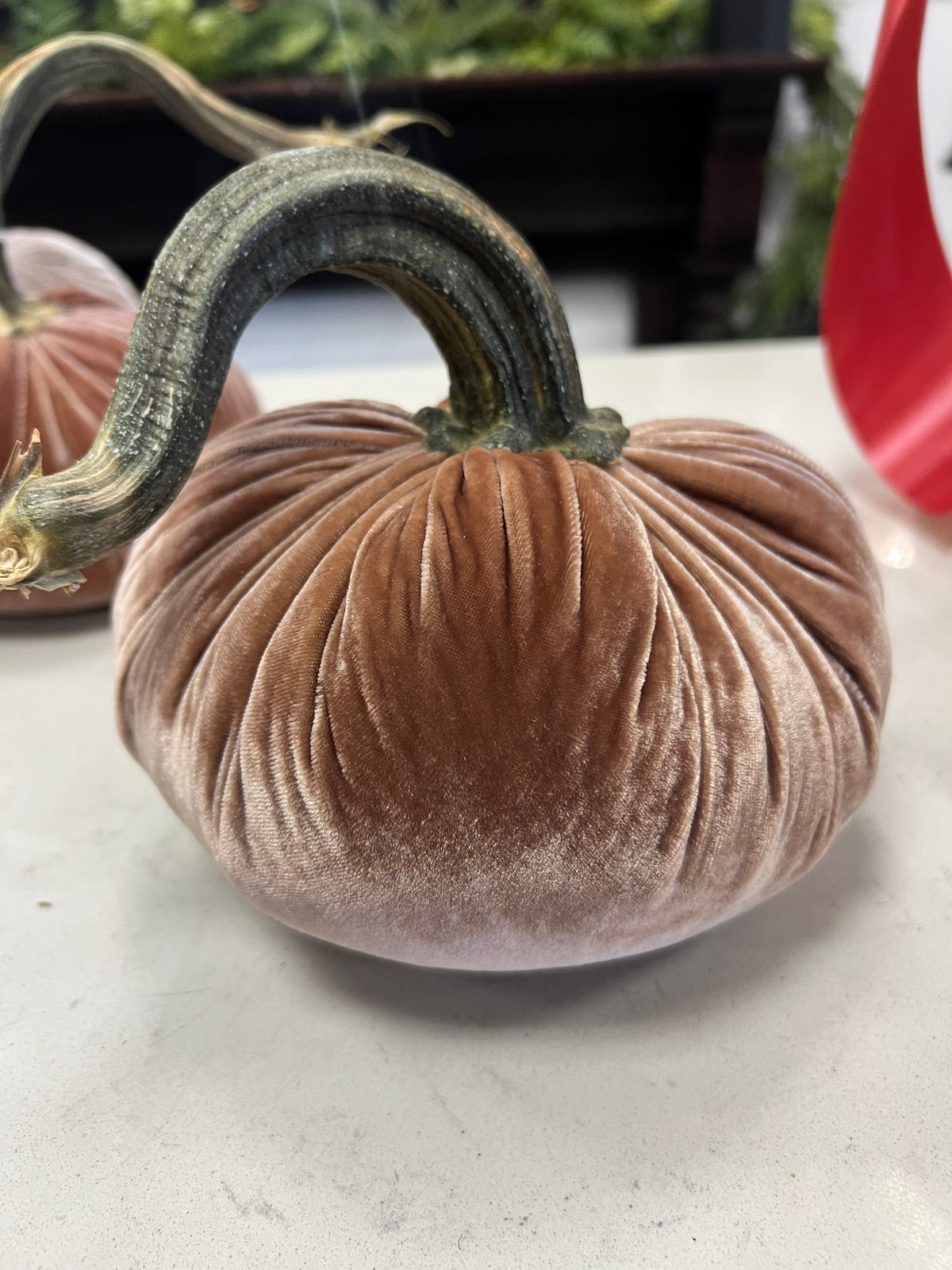 7 in DIA Dusty Mocha Velvet Weighted Pumpkin with Real Pumpkin Stalk (each stalk will very in size and shape)