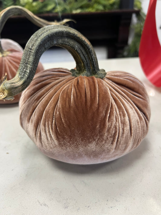 7 in DIA Dusty Mocha Velvet Weighted Pumpkin with Real Pumpkin Stalk (each stalk will very in size and shape)