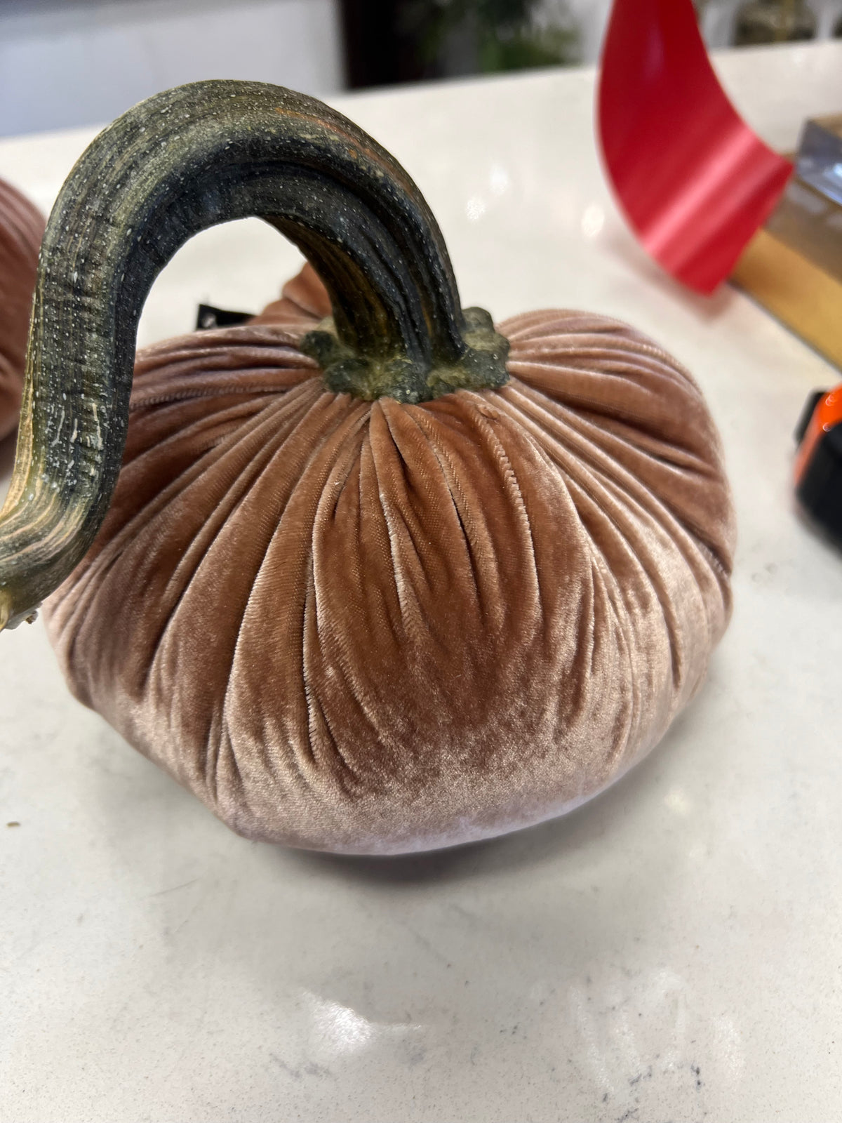 7 in DIA Dusty Mocha Velvet Weighted Pumpkin with Real Pumpkin Stalk (each stalk will very in size and shape)