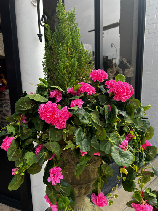 Pink Geranium Hanging Bush