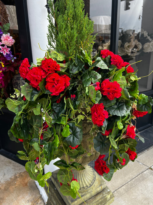 Red Geranium Hanging Bush