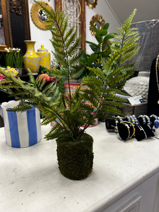 Lace Fern Drop-In