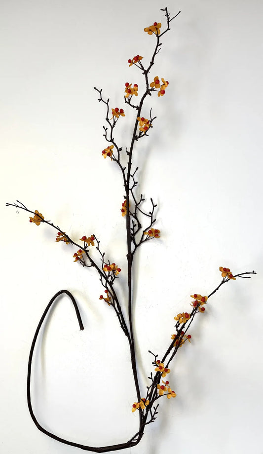 57 in Bittersweet stem
