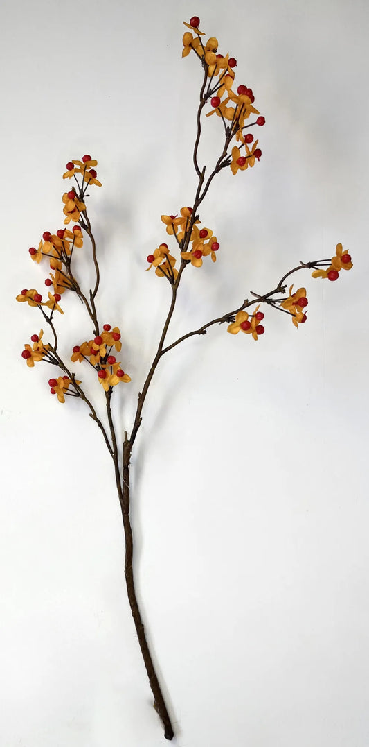 25 in Bittersweet Stem