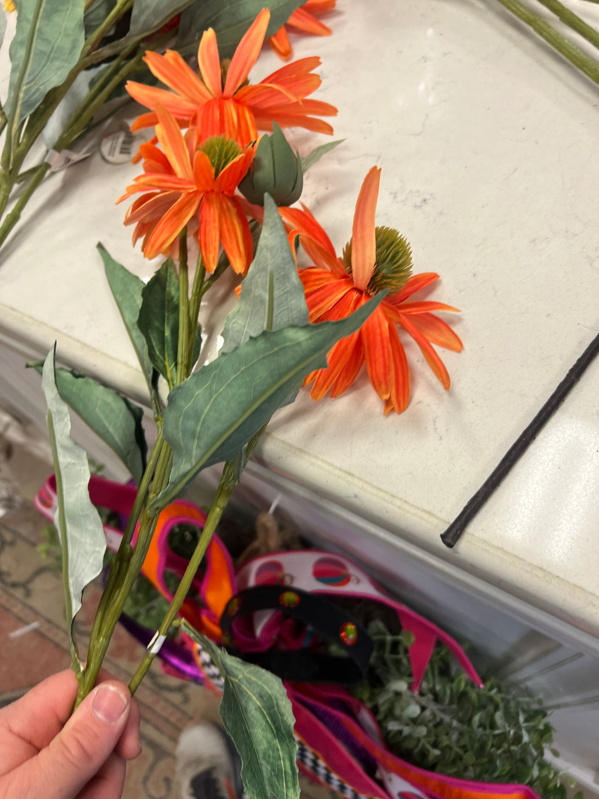 Orange Coneflower stem