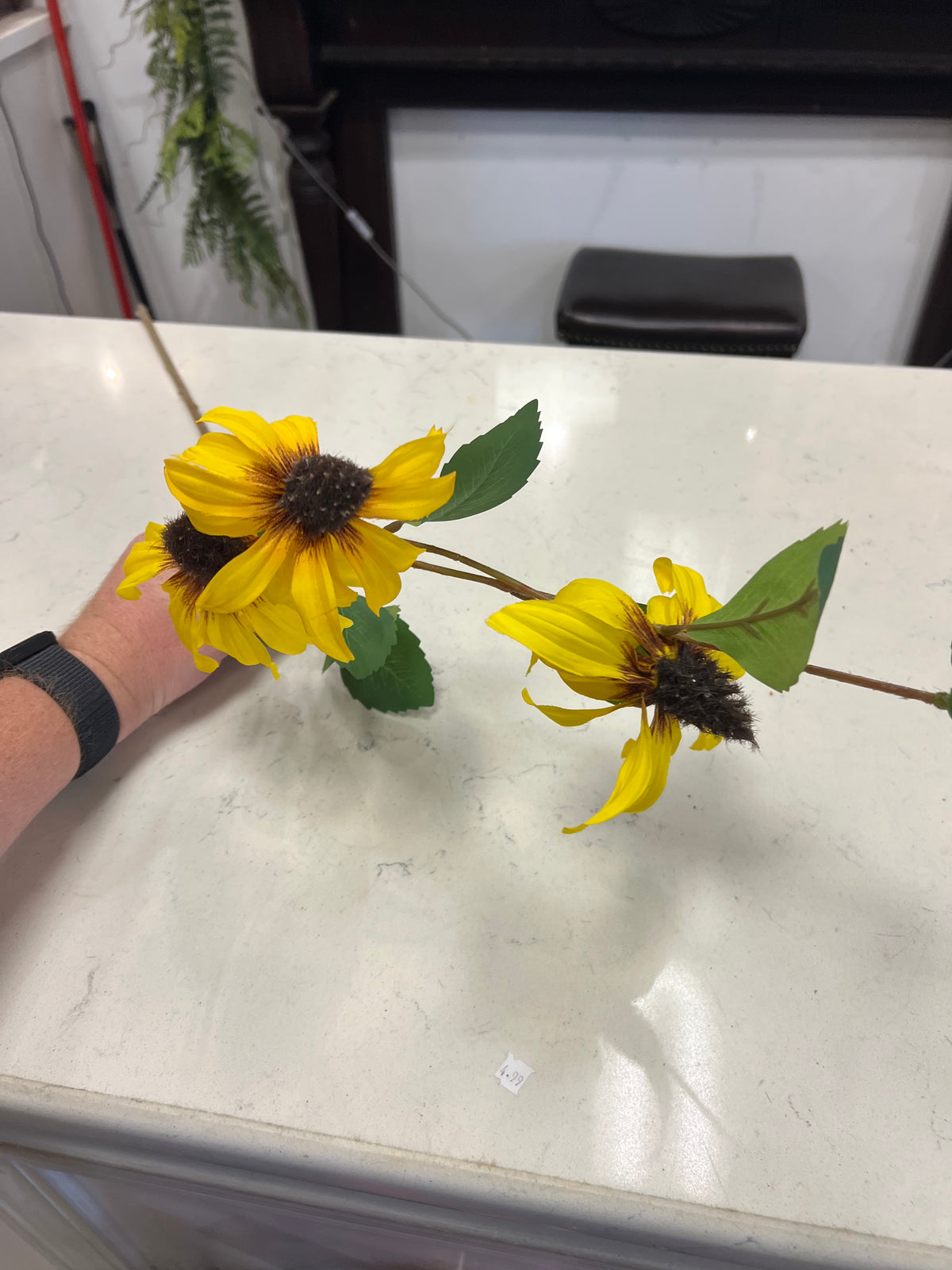 32.5 Rudbeckia Spray Yellow