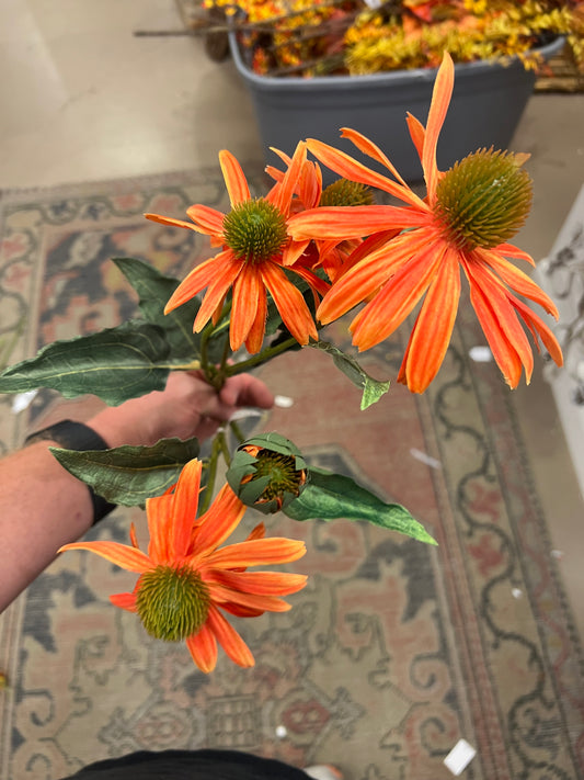 Orange Coneflower stem