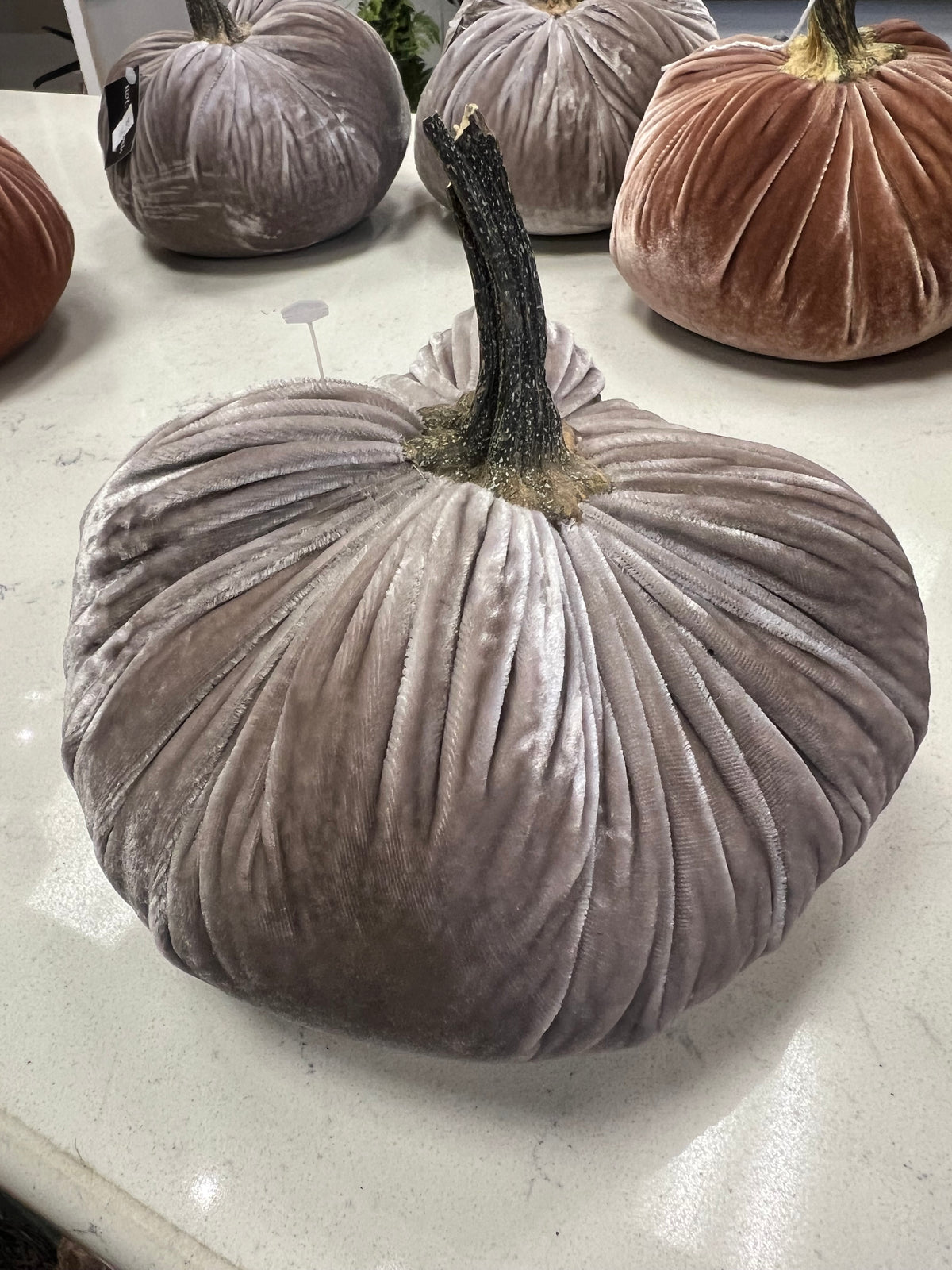 7 in DIA Grayish Lavender Velvet Weighted Pumpkin with Real Pumpkin Stalk (each stalk will very in size and shape)